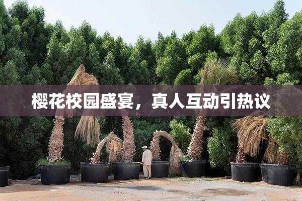 樱花校园盛宴，真人互动引热议