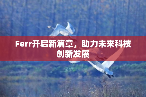 Ferr开启新篇章，助力未来科技创新发展