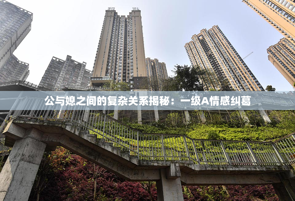 公与媳之间的复杂关系揭秘：一级A情感纠葛