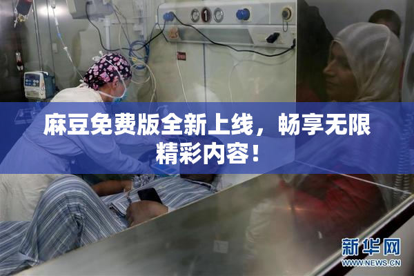 麻豆免费版全新上线，畅享无限精彩内容！