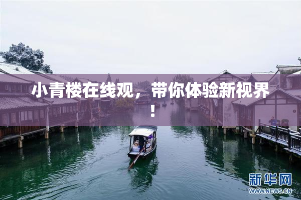 小青楼在线观，带你体验新视界！