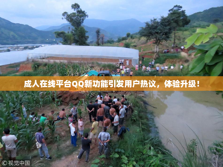 成人在线平台QQ新功能引发用户热议，体验升级！