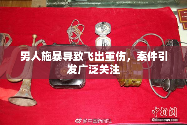 男人施暴导致飞出重伤，案件引发广泛关注