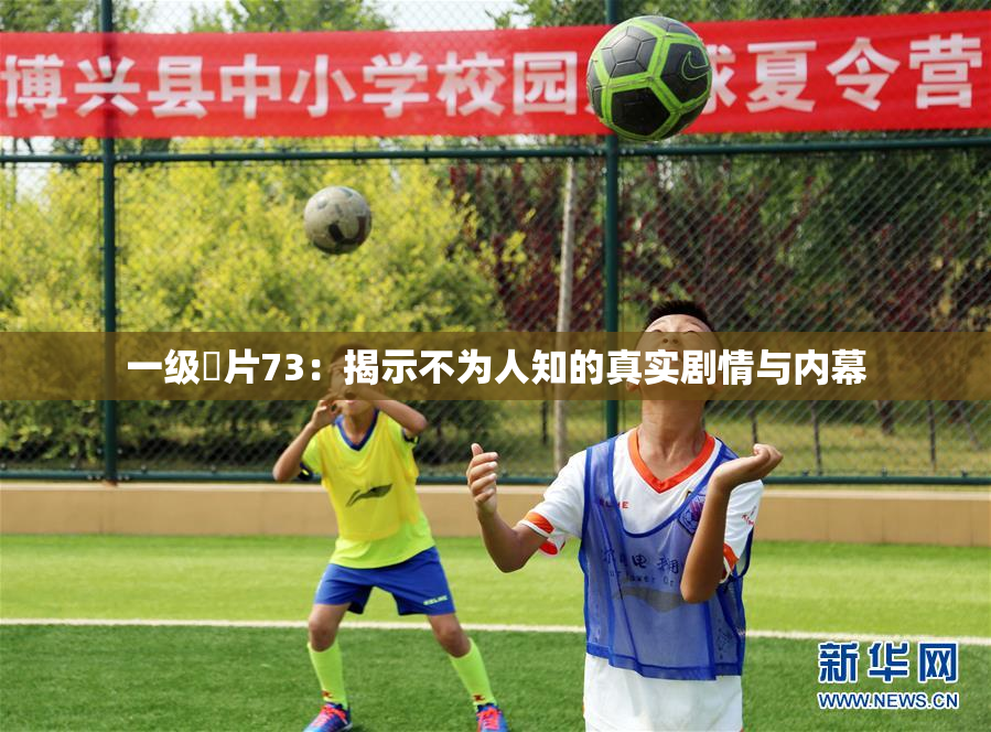 一级婬片73：揭示不为人知的真实剧情与内幕
