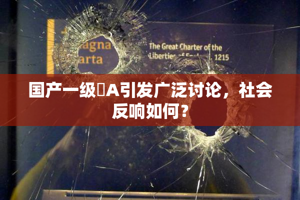 国产一级婬A引发广泛讨论，社会反响如何？
