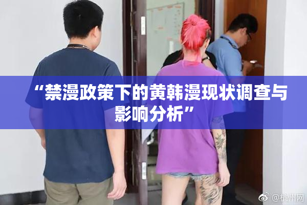 “禁漫政策下的黄韩漫现状调查与影响分析”