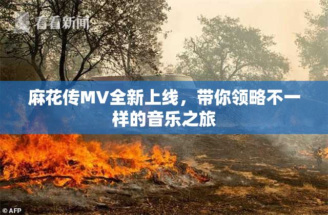麻花传MV全新上线，带你领略不一样的音乐之旅