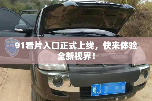 91看片入口正式上线，快来体验全新视界！