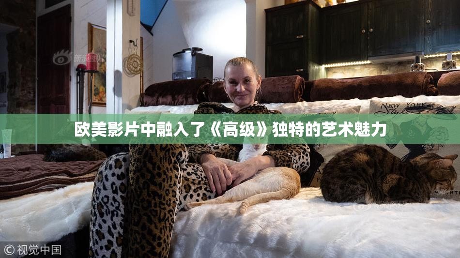 欧美影片中融入了《高级》独特的艺术魅力