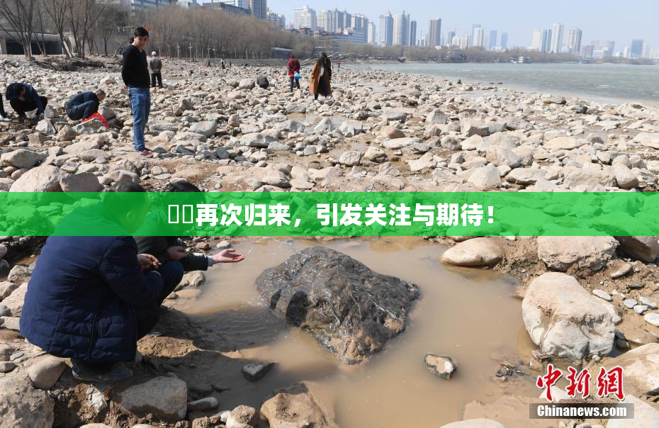 妺妺再次归来，引发关注与期待！