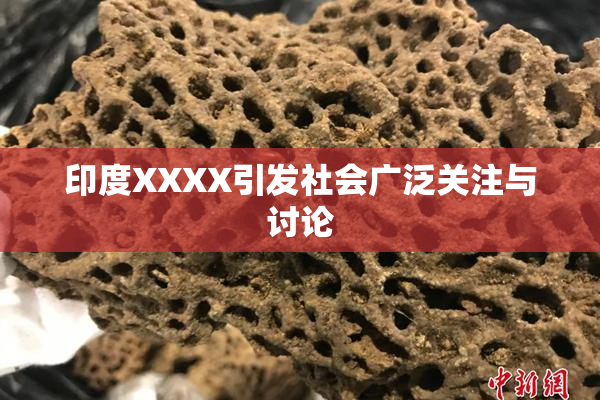 印度XXXX引发社会广泛关注与讨论