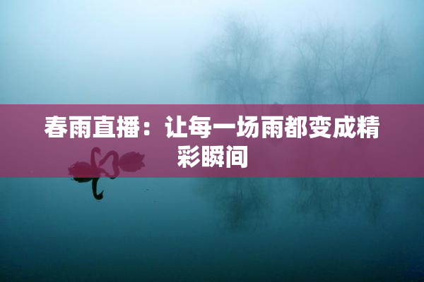 春雨直播：让每一场雨都变成精彩瞬间