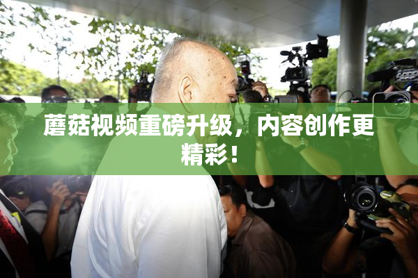 蘑菇视频重磅升级，内容创作更精彩！