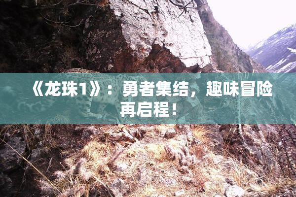 《龙珠1》：勇者集结，趣味冒险再启程！