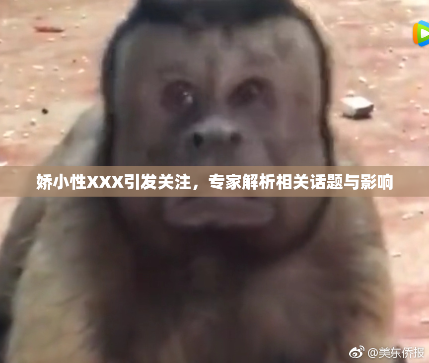 娇小性XXX引发关注，专家解析相关话题与影响