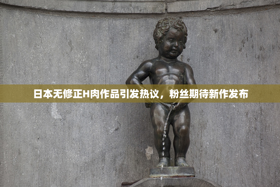 日本无修正H肉作品引发热议，粉丝期待新作发布