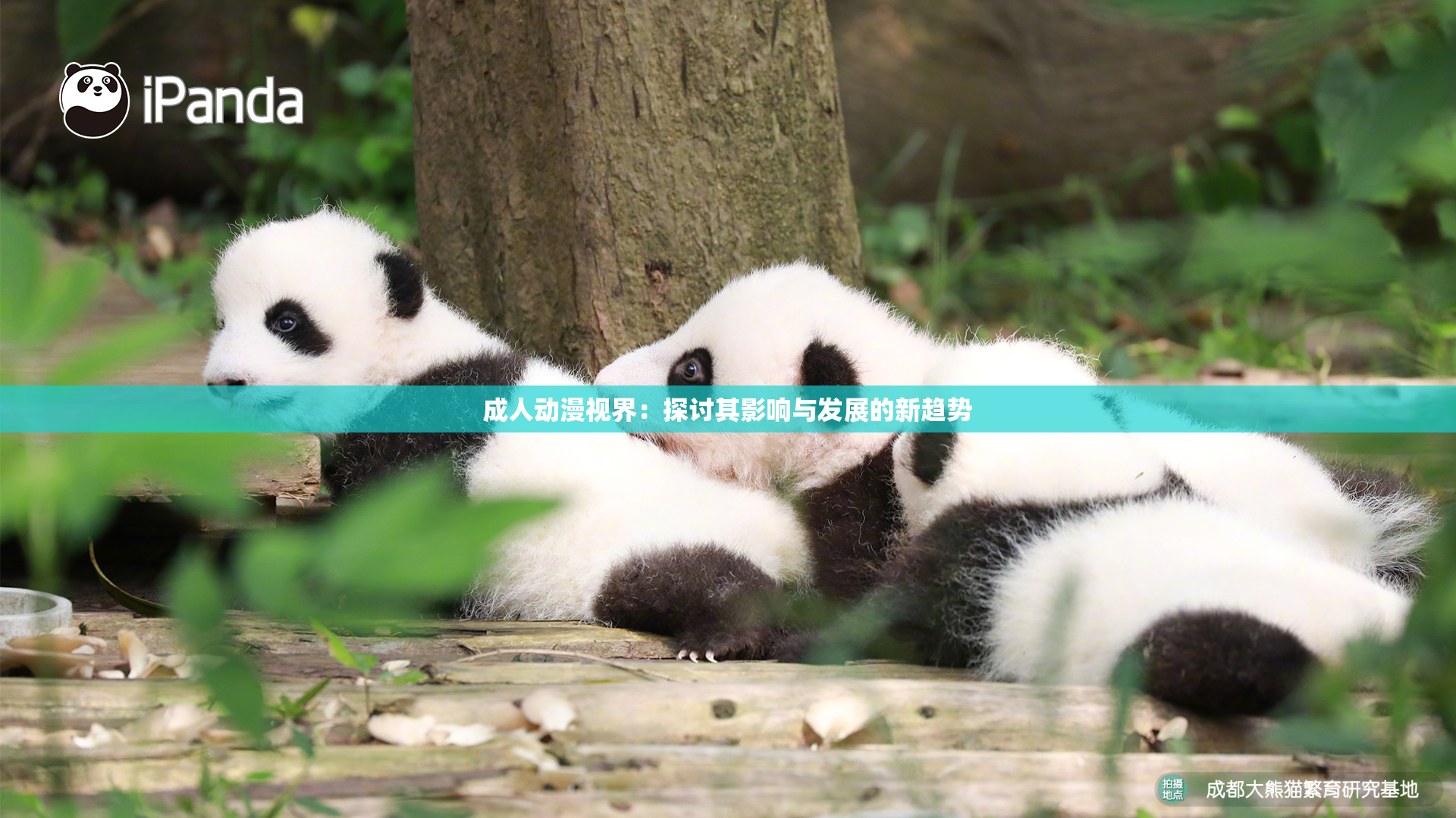 成人动漫视界：探讨其影响与发展的新趋势