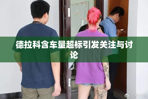 德拉科含车量超标引发关注与讨论