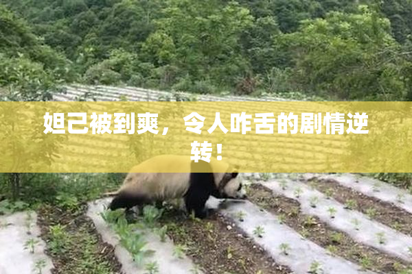 妲己被到爽，令人咋舌的剧情逆转！