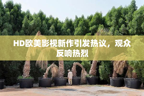 HD欧美影视新作引发热议，观众反响热烈