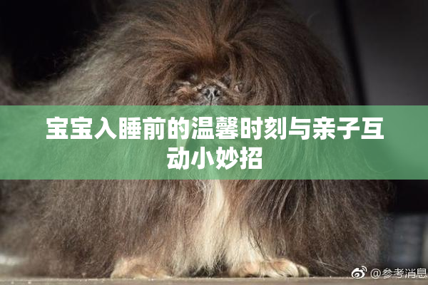 宝宝入睡前的温馨时刻与亲子互动小妙招