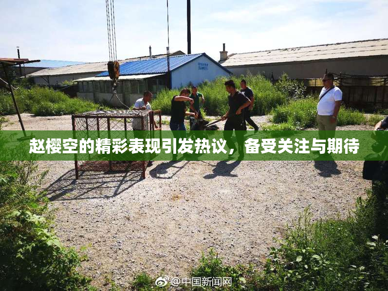 赵樱空的精彩表现引发热议，备受关注与期待