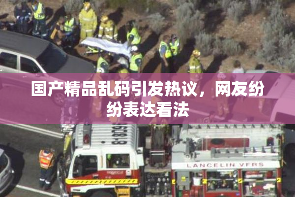 国产精品乱码引发热议，网友纷纷表达看法