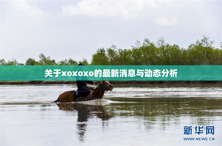 关于xoxoxo的最新消息与动态分析