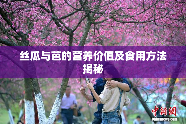 丝瓜与芭的营养价值及食用方法揭秘