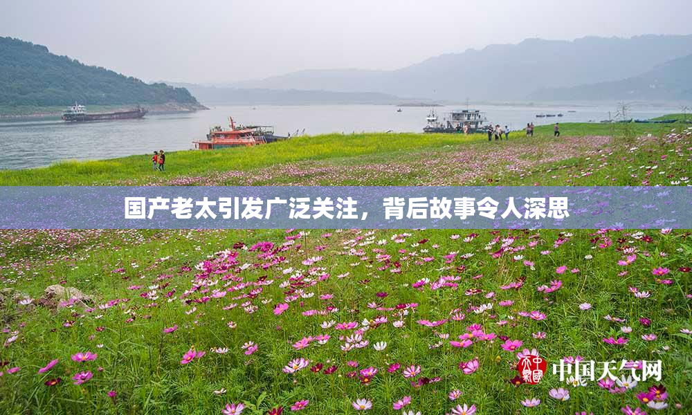 国产老太引发广泛关注，背后故事令人深思