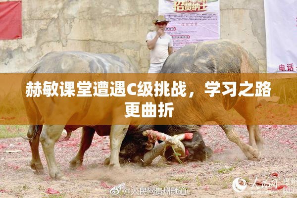 赫敏课堂遭遇C级挑战，学习之路更曲折