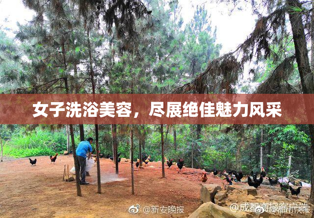 女子洗浴美容，尽展绝佳魅力风采