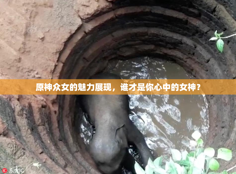 原神众女的魅力展现，谁才是你心中的女神？