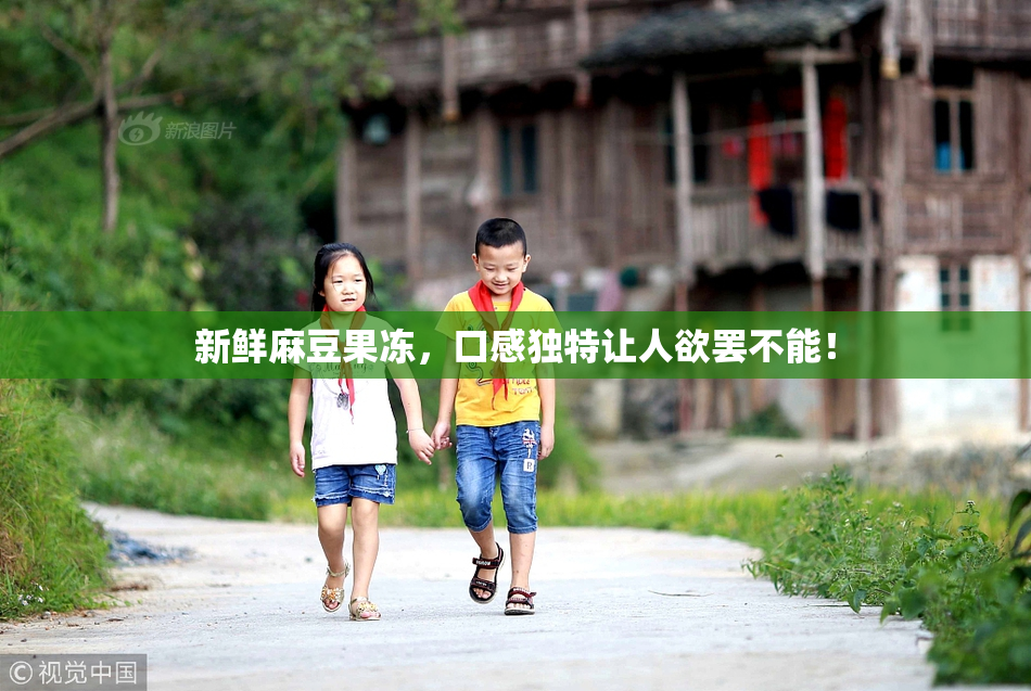 新鲜麻豆果冻，口感独特让人欲罢不能！