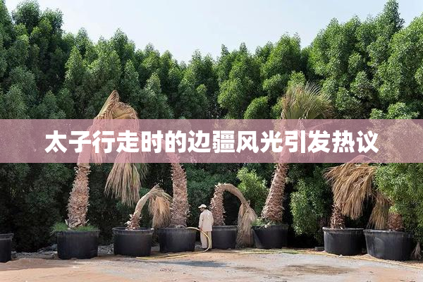太子行走时的边疆风光引发热议