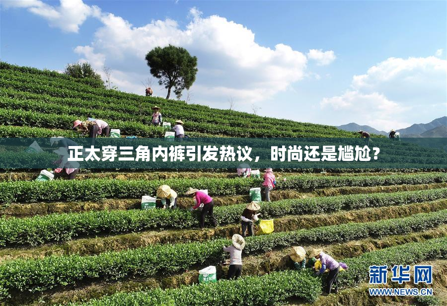 正太穿三角内裤引发热议，时尚还是尴尬？