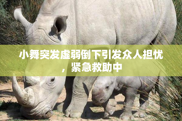 小舞突发虚弱倒下引发众人担忧，紧急救助中