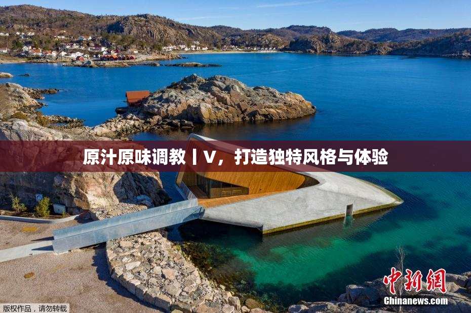 原汁原味调教丨V，打造独特风格与体验
