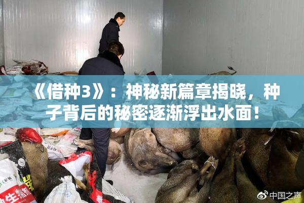 《借种3》：神秘新篇章揭晓，种子背后的秘密逐渐浮出水面！