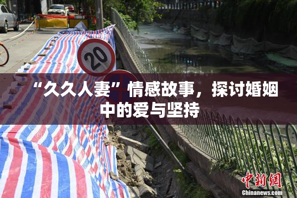 “久久人妻”情感故事，探讨婚姻中的爱与坚持