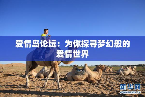 爱情岛论坛：为你探寻梦幻般的爱情世界