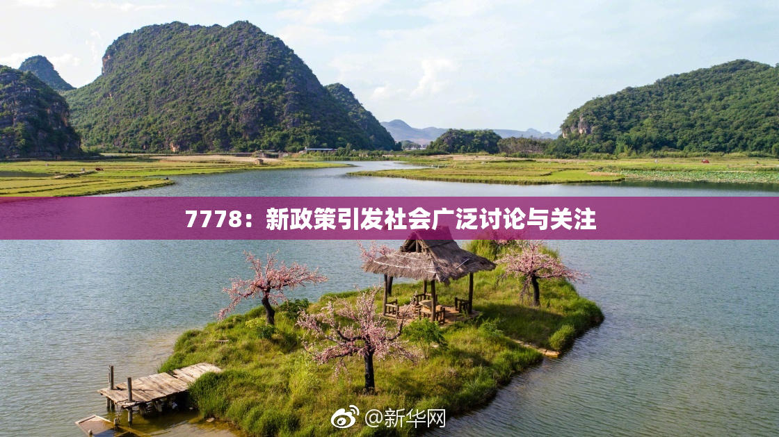 7778：新政策引发社会广泛讨论与关注