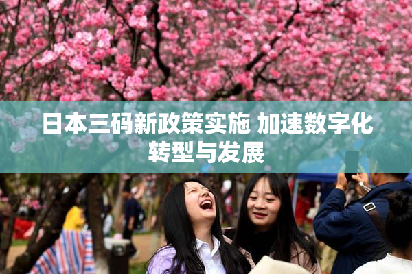 日本三码新政策实施 加速数字化转型与发展