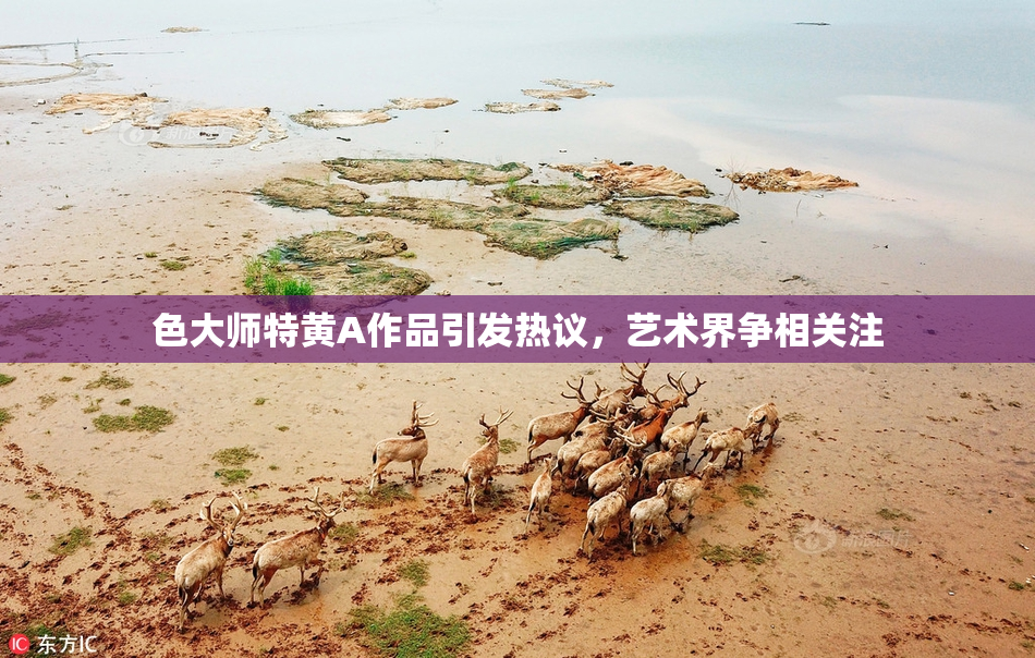 色大师特黄A作品引发热议，艺术界争相关注
