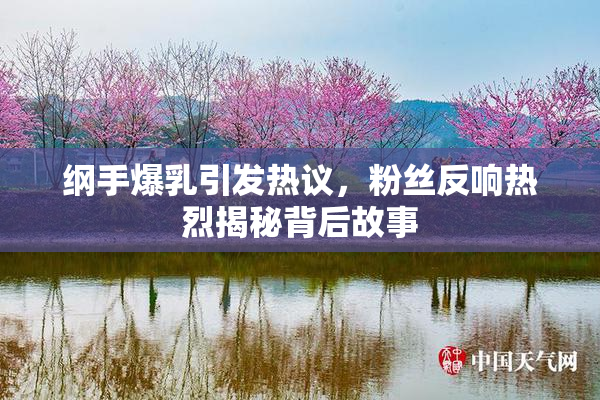 纲手爆乳引发热议，粉丝反响热烈揭秘背后故事