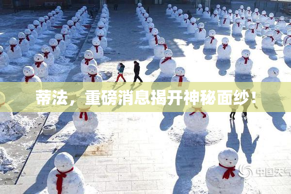 蒂法，重磅消息揭开神秘面纱！