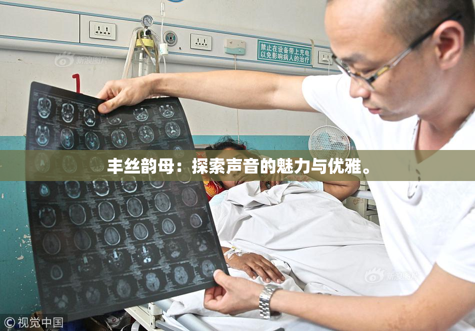 丰丝韵母：探索声音的魅力与优雅。