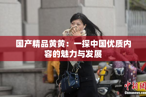 国产精品黄黄：一探中国优质内容的魅力与发展
