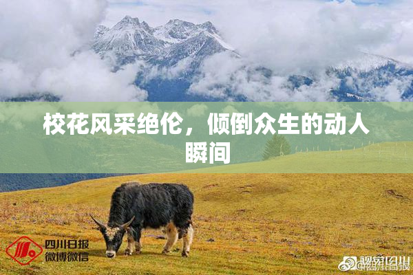 校花风采绝伦，倾倒众生的动人瞬间