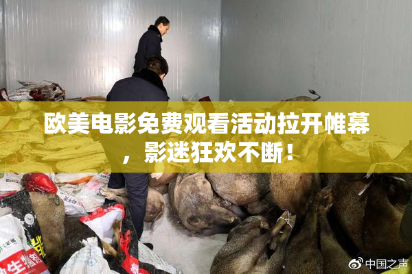 欧美电影免费观看活动拉开帷幕，影迷狂欢不断！